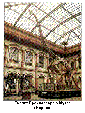 �������: 
������ ����������� � �����
� �������
