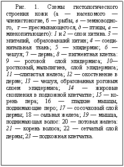 : . 1.   -  (    -,   ,   ,   ,   ,   -): 1  2   . 3  -,  ; 4   ; 5  ; 6  -; 7  ; 8   : 9    ; 10, ,  ; 11  ; 12    ; 13  ,    ; 14   -   ; 15   ; 16   ,  ; 17    ; 18   ; 19  , - : 20   : 21  - ; 22    ; 23   .